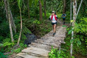 BIB: 
                            <button type="button" onclick="openModal(21893109)" class="btn btn-primary btn-sm float-right btn-popup" data-toggle="modal" data-target=".modal-high-quality">
                        <i class="fas fa-shopping-cart"></i> Add to Cart
                    </button>
                                            <button type="button" onclick="isThisMe(21893109, true)" class="btn btn-success btn-sm float-right btn-popup btn-isme hidden" data-toggle="tooltip" data-placement="bottom" title="นี่คือรูปของคุณใช่ไหม คลิกที่นี่เพื่อเอาเข้าอัลบั้ม">
                        <i class="fas fa-plus"></i> Add to album
                    </button>
                    <button type="button" onclick="isThisMe(21893109, false)" class="btn btn-warning btn-sm float-right btn-popup btn-isnotme hidden">
                        <i class="fas fa-ban"></i> Remove from album
                    </button>